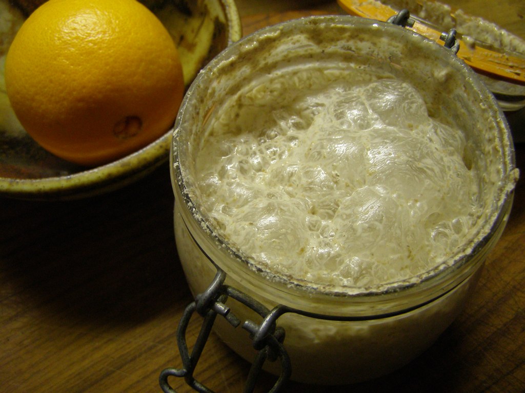 Lively Yeast Starter Rye and water, as it came from the fr… Flickr