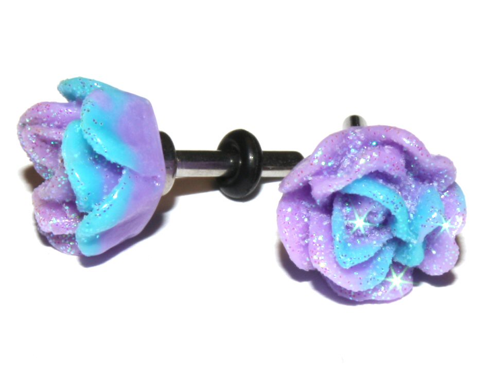 Cheap Plugs Ear Gauges for Girls with Stretched Ears Flickr