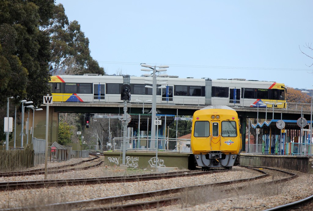 Adelaide Metro's Train and Tram meet at Goodwood Chris McGorman Flickr