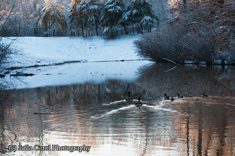 Pebble Dr, Greensboro, NC, USA Sunrise Sunset Times