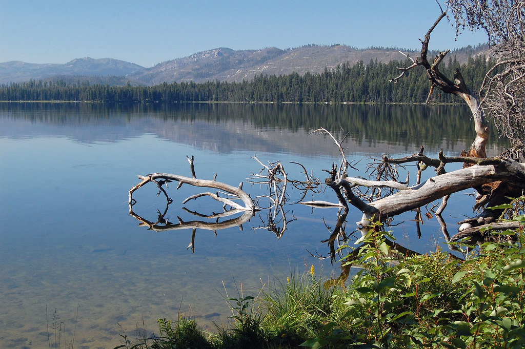 160815 Warm Lake Warm Lake near Cascade, Idaho, is part of… Flickr