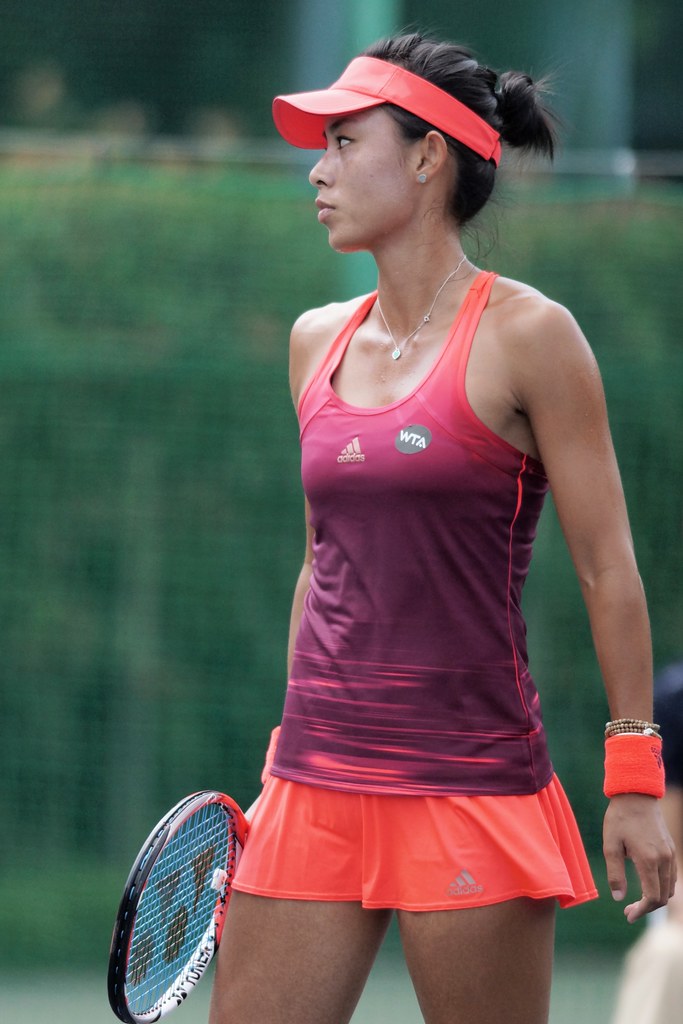 DSC04576 Ogre A Little Turtle Flickr