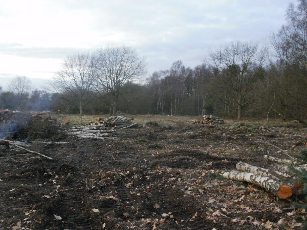 Woodland clearance on Yateley Common Sarah J Allen Flickr