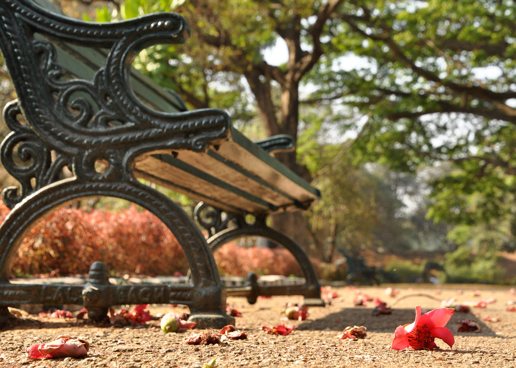 Elevation of Hormavu Agara lake, Horamavu Agara, Horamavu, Bengaluru