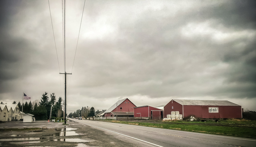 'Murica, Got Milk? Farm near Blaine, WA. kardboard604 Flickr