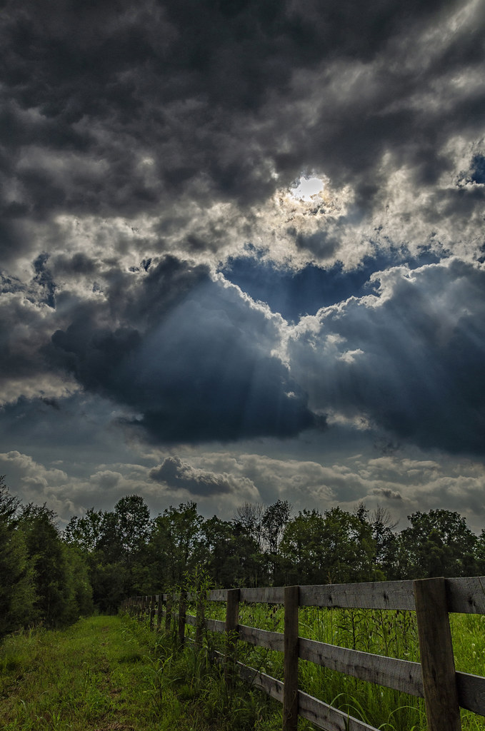 DSC_0072B Shelby Trails Park, Simpsonville, Kentucky Roya Oshrieh