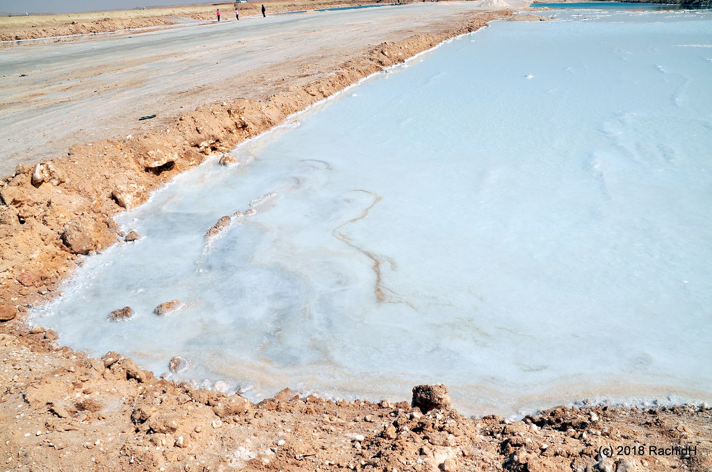 DSC_0859 Scenes From The Salt Lakes of Siwa Oasis in Egypt… Flickr