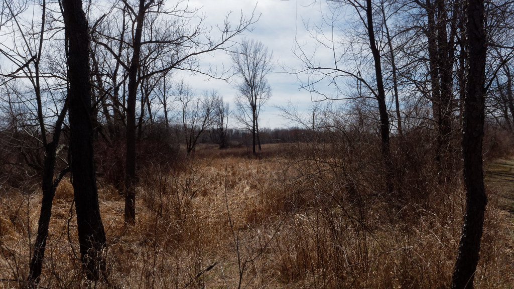 Baker Sanctuary Michigan Audubon's Bernard Baker Sanctuary… Flickr