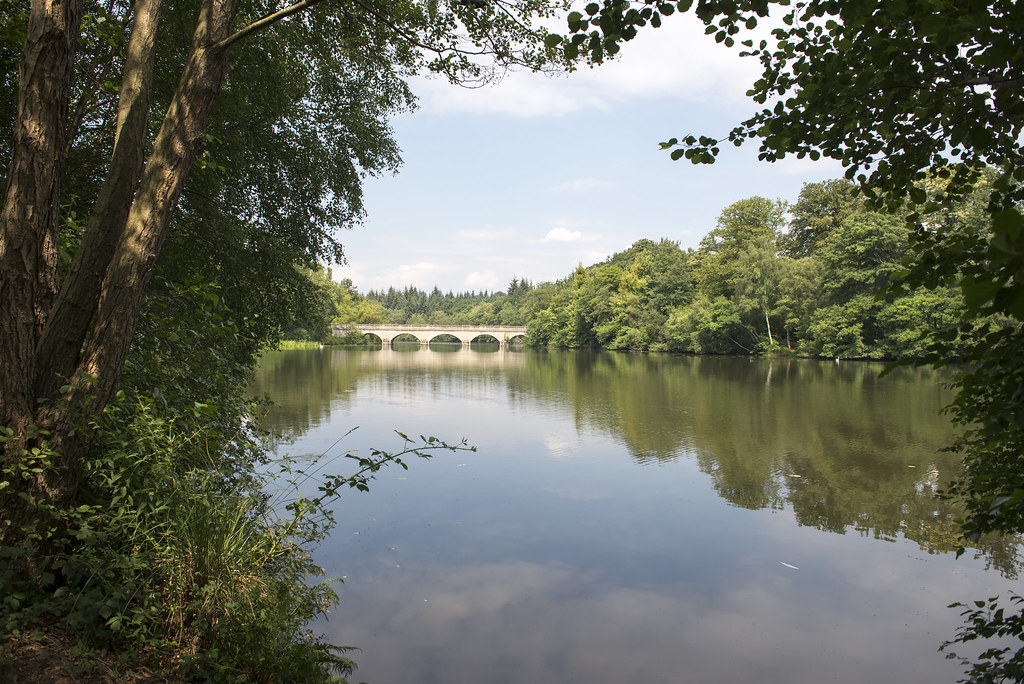 Virginia Water Virginia Water Darron Buckland Flickr