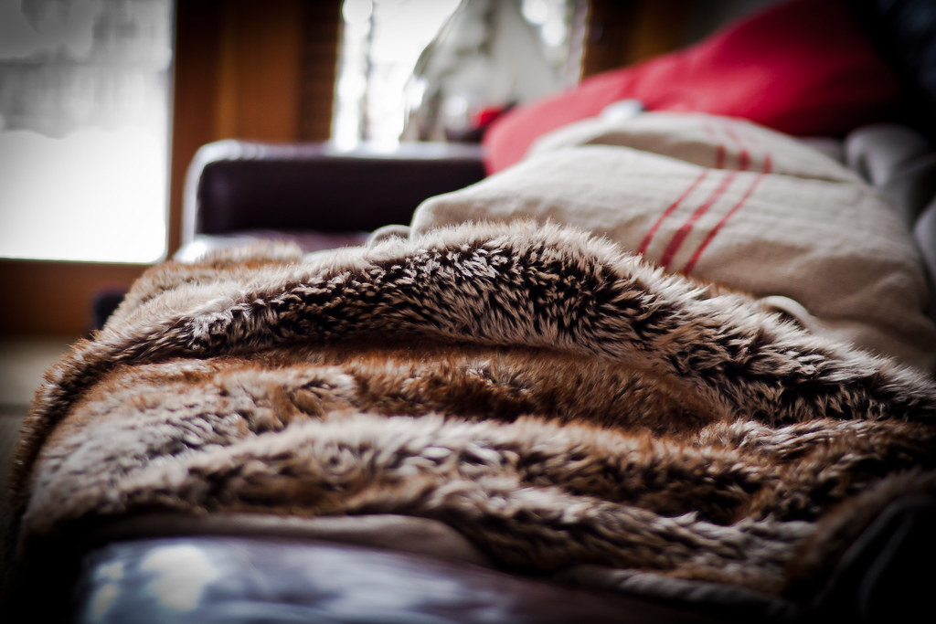 Best. Blanket. Ever. eric mcbane Flickr