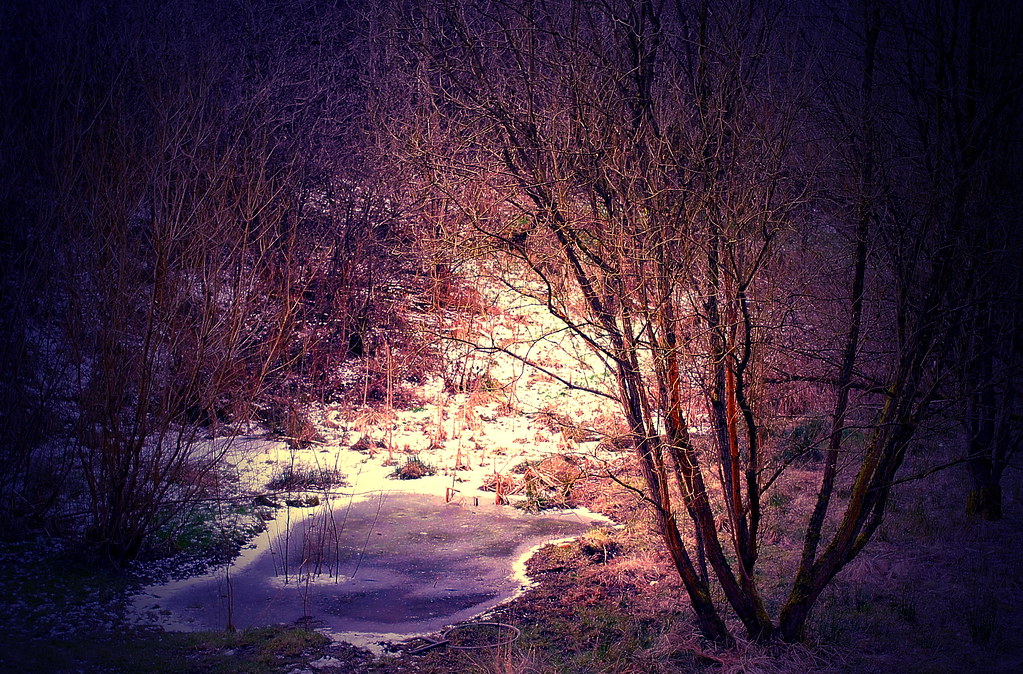 On frozen pond Leesbrook park Oldham gordon simpson Flickr