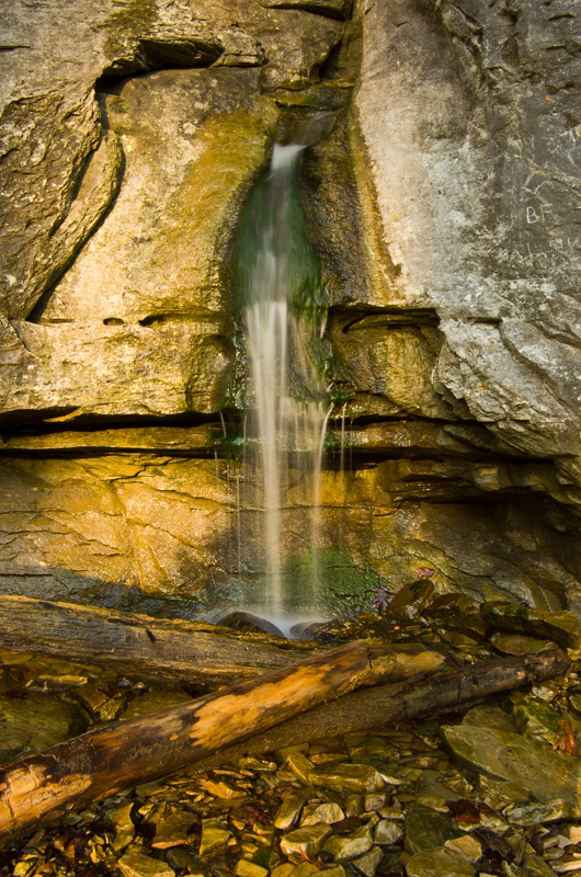 Elevation of Erwin Ridge Rd, Olive Hill, KY, USA Topographic Map