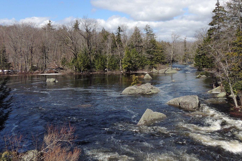 1316Groves Stoddard, NH Ann Groves Flickr