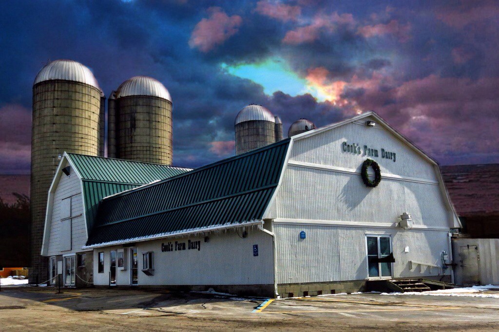 Cooks dairy, Kid Rock video, "Born Free" done on the farm … Flickr