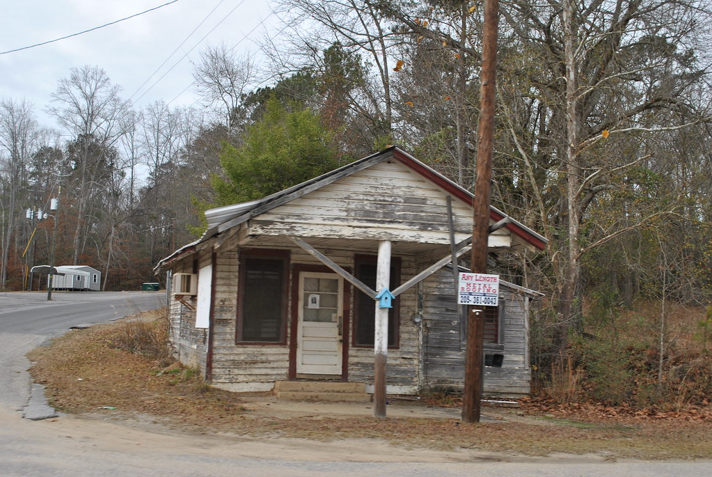 Maplesville, AL Chereokee Rose Flickr