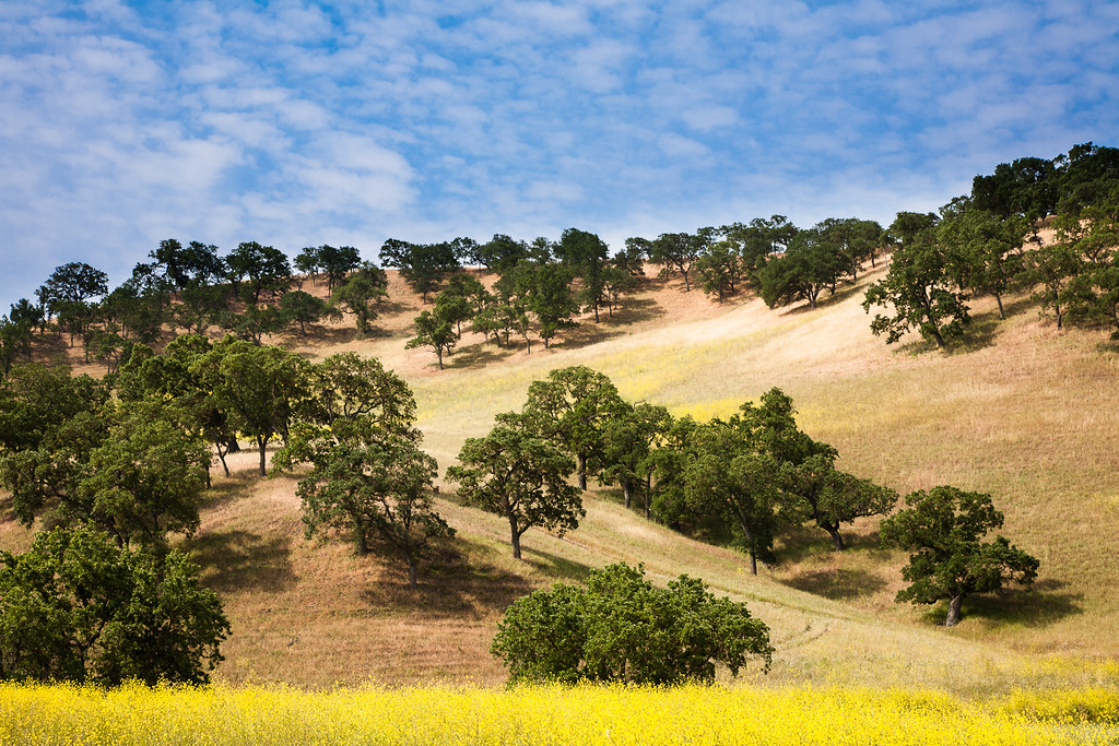 Break even Highland Road, north of Livermore, California Henrik