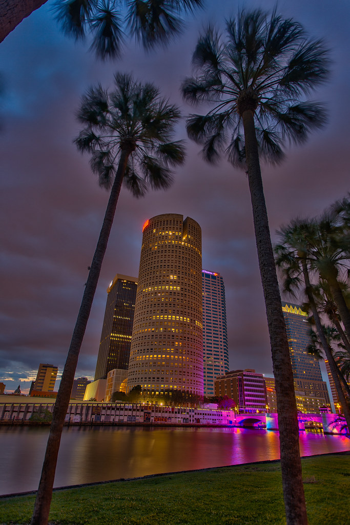 Tampa Dawn Through the Palms Tampa Dawn Through the Palms,… Flickr