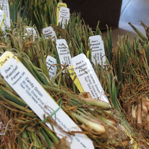 IMG_0123 SEEDS at Reed College Flickr