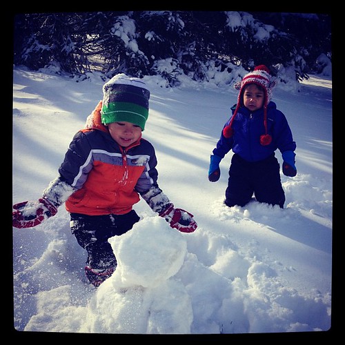 Its hard to make a snowman when the snow is so dry Flickr