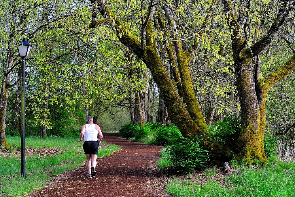 Pre's trail Pre's Trail, located on the north side of the … Flickr