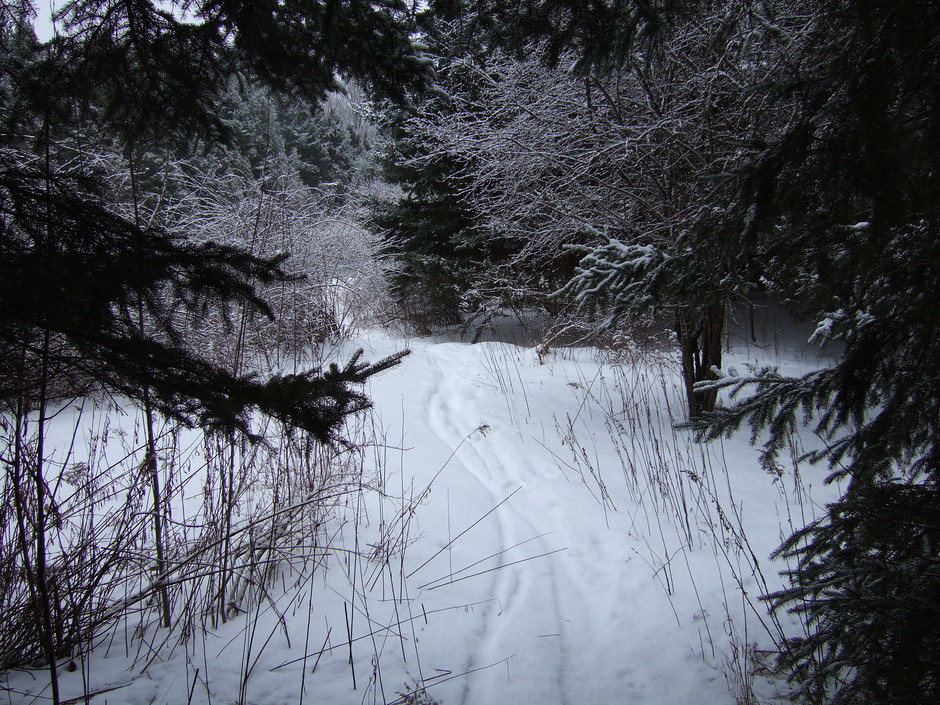 Puslinch_Tract02161303 Puslinch Tract February 16, 201… Flickr