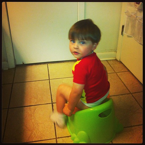 My 2 year old who is potty trained likes to switch pottys.… Flickr