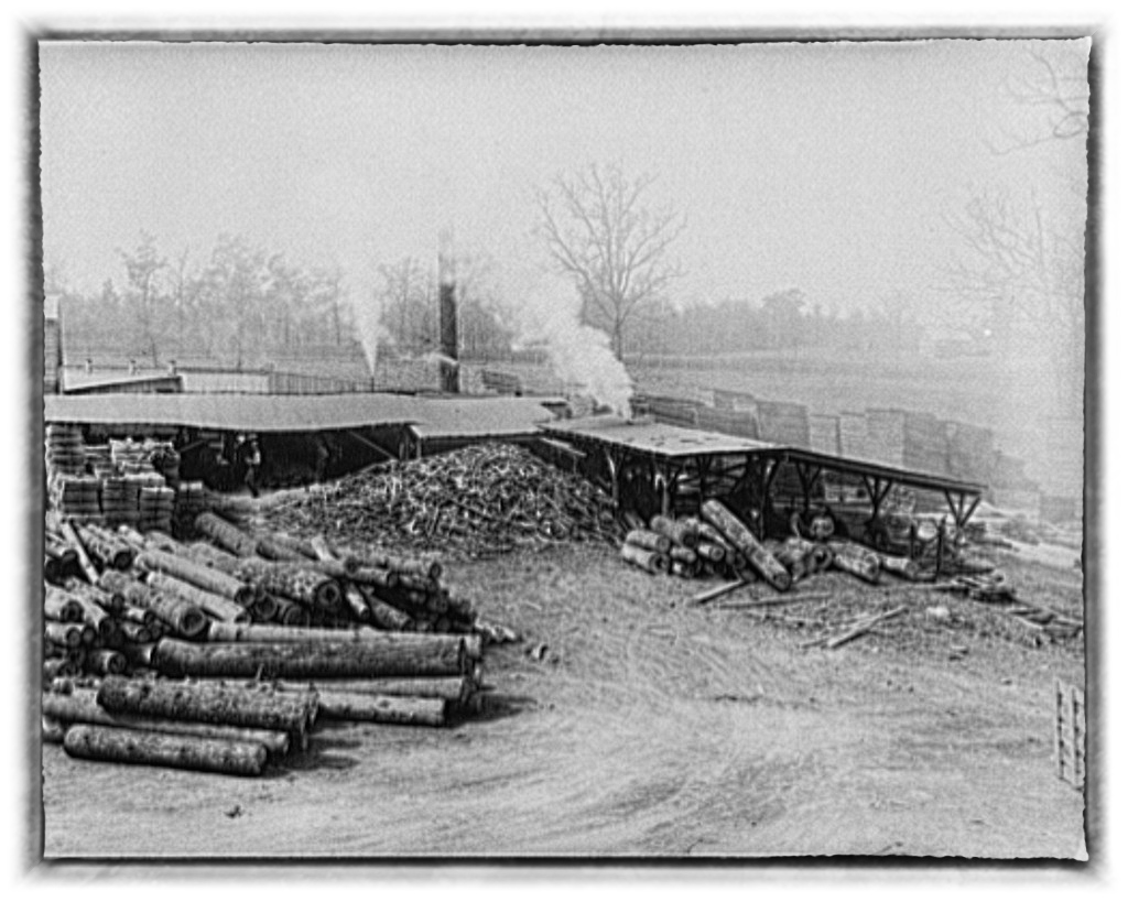 Sawmill in Crossville, Tennessee Taken in November, 1935 b… Flickr