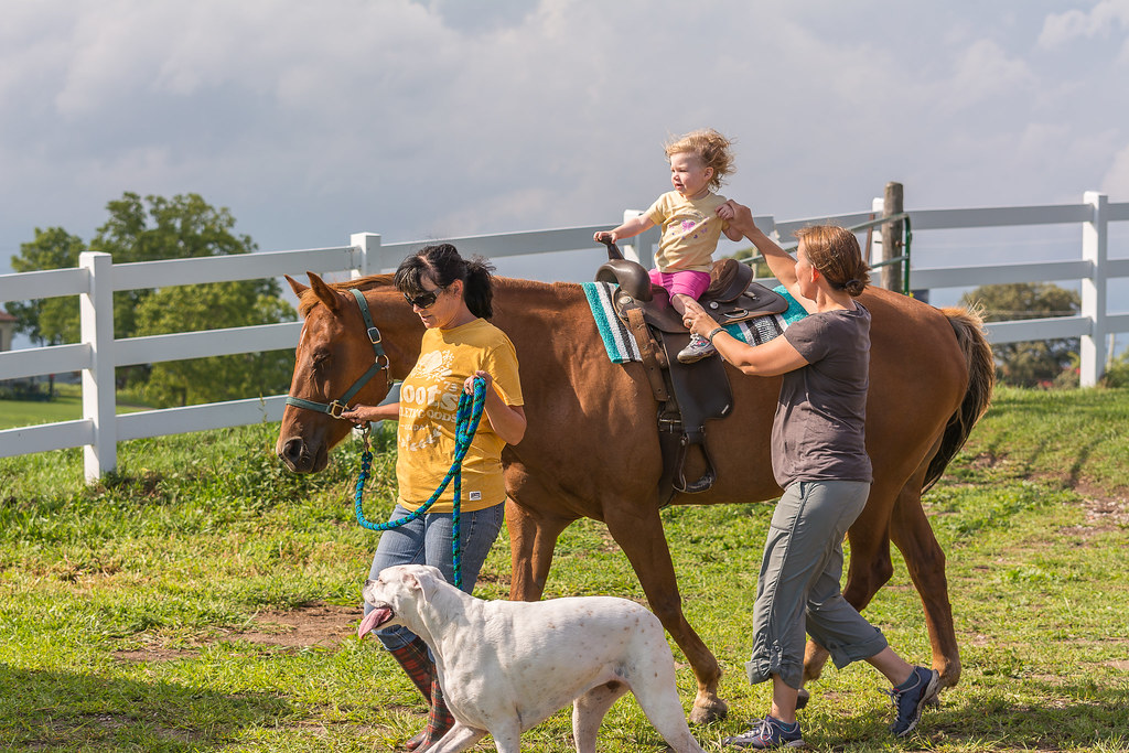 Hilltop Stables23 Jodi WickhamFoxwell Flickr