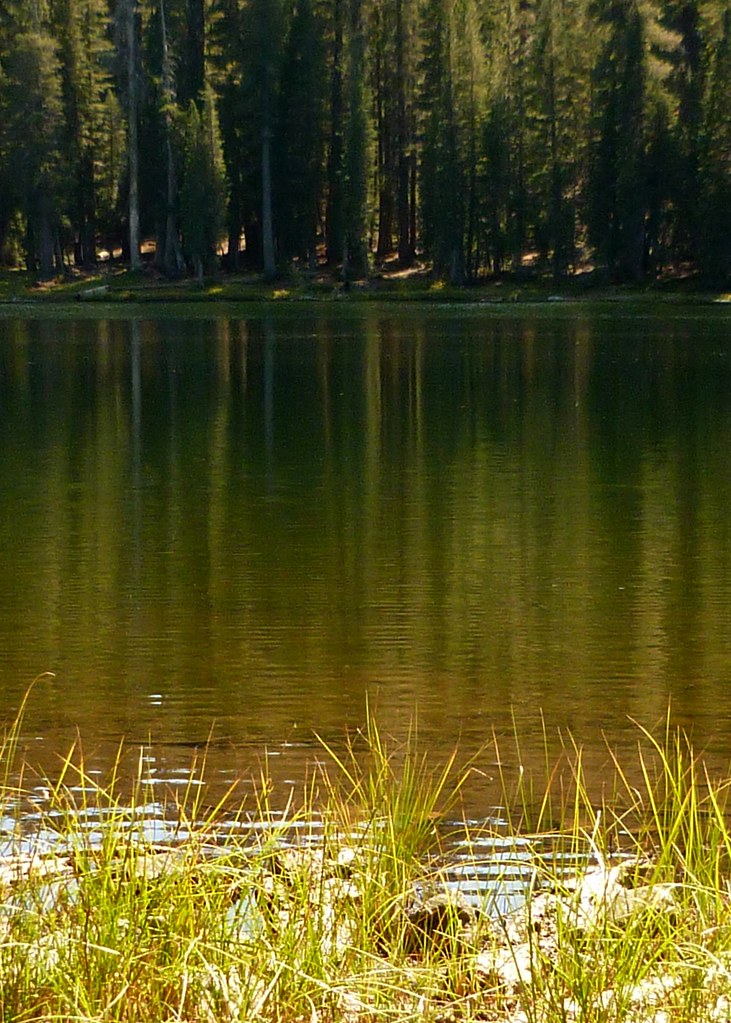 Lukens Lake After our quick stop at beautiful Siesta Lake,… Flickr