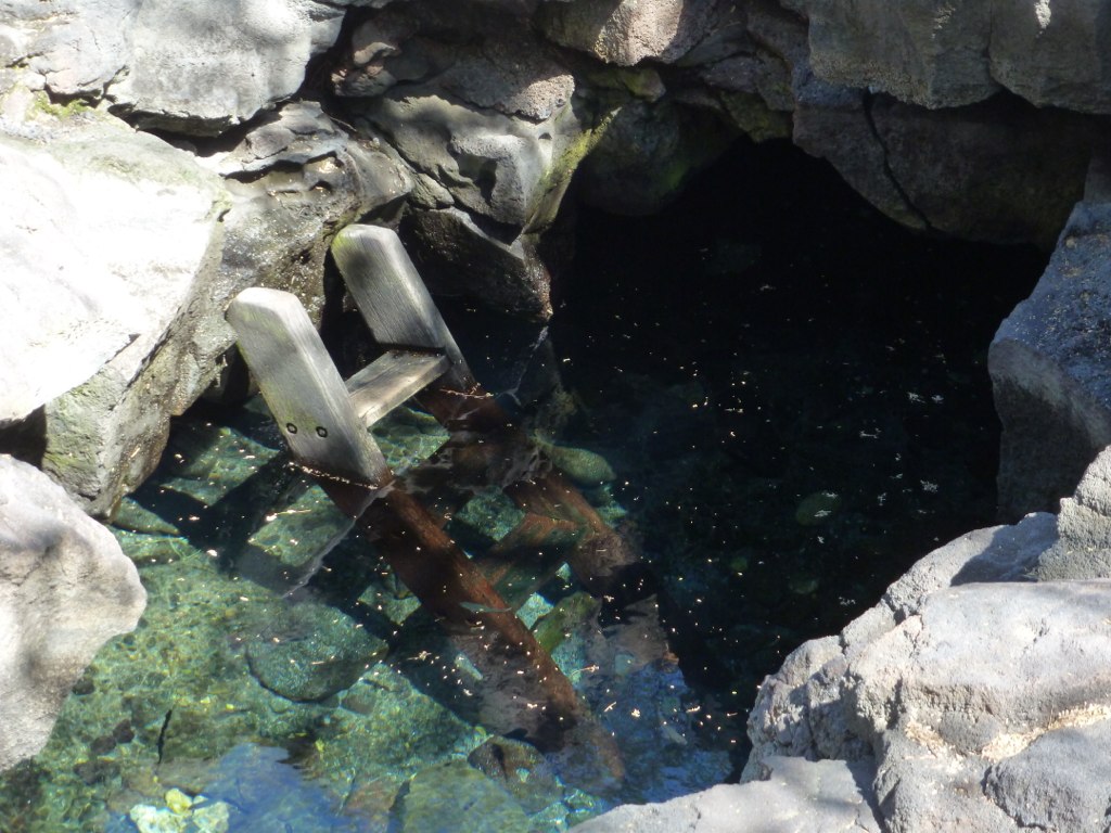 Queen's Bath in an old lava tube (freshwater spring) Flickr
