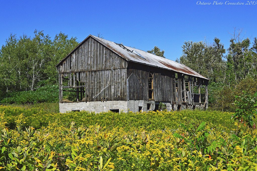 5619 Wesleyville Ontario 2013 ontario photo connection Flickr