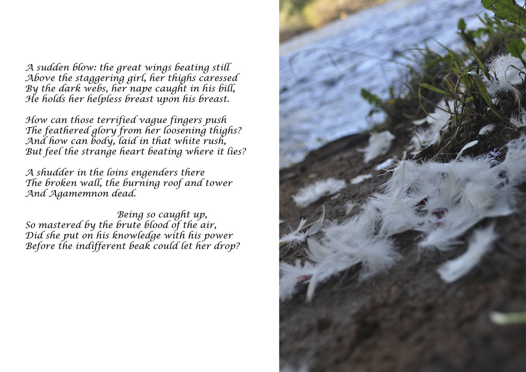Leda and the Swan Poem II Dannie Travers Flickr