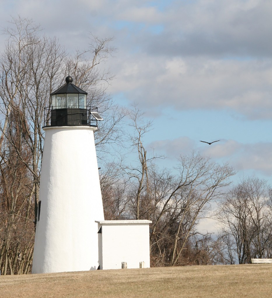 Turkey Point Lighthouse with vulture flyby Lisa Foster Flickr