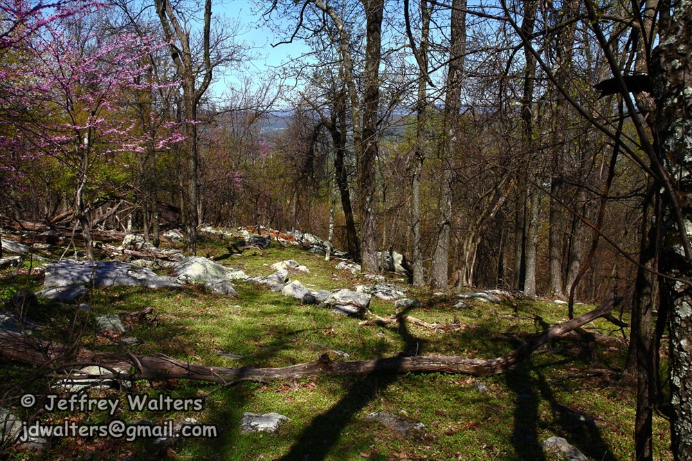 Elk Ridge Trail This trail begins by the fort, off of the … Flickr