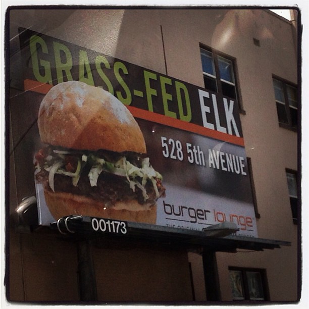 I'm sorry, do what? gross califood courtney.bourgeois Flickr