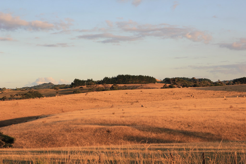 Elevation of Taylor Road, Huapai, Waimauku, New Zealand Topographic