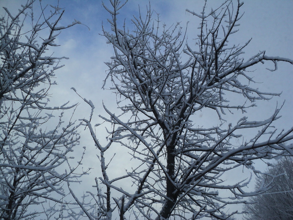 DSC04134 Winter Morning [Lisbon Falls, Maine] Woke up to a… Flickr
