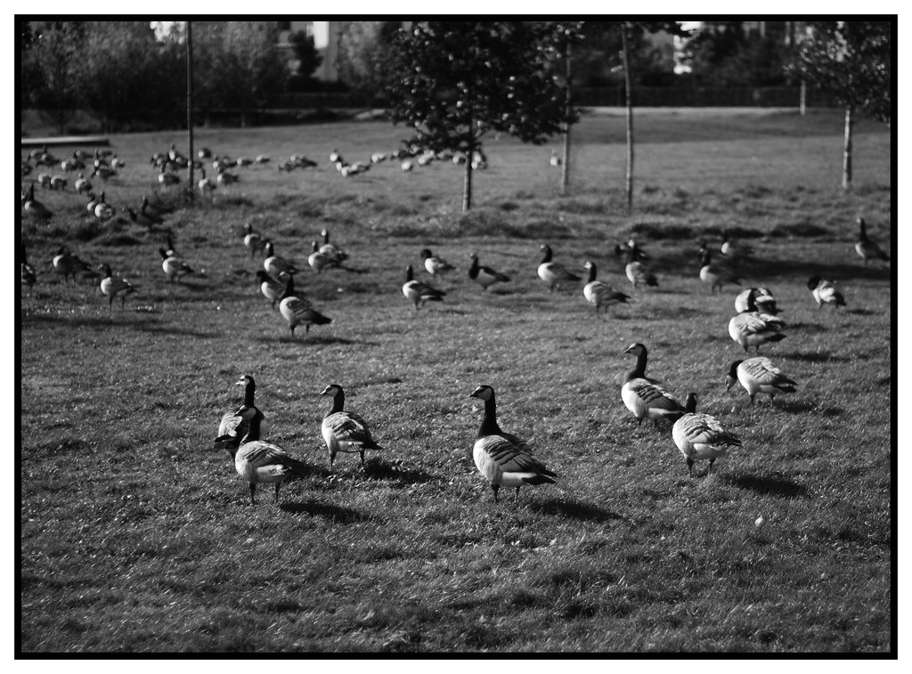 Untitled Teemu Flickr