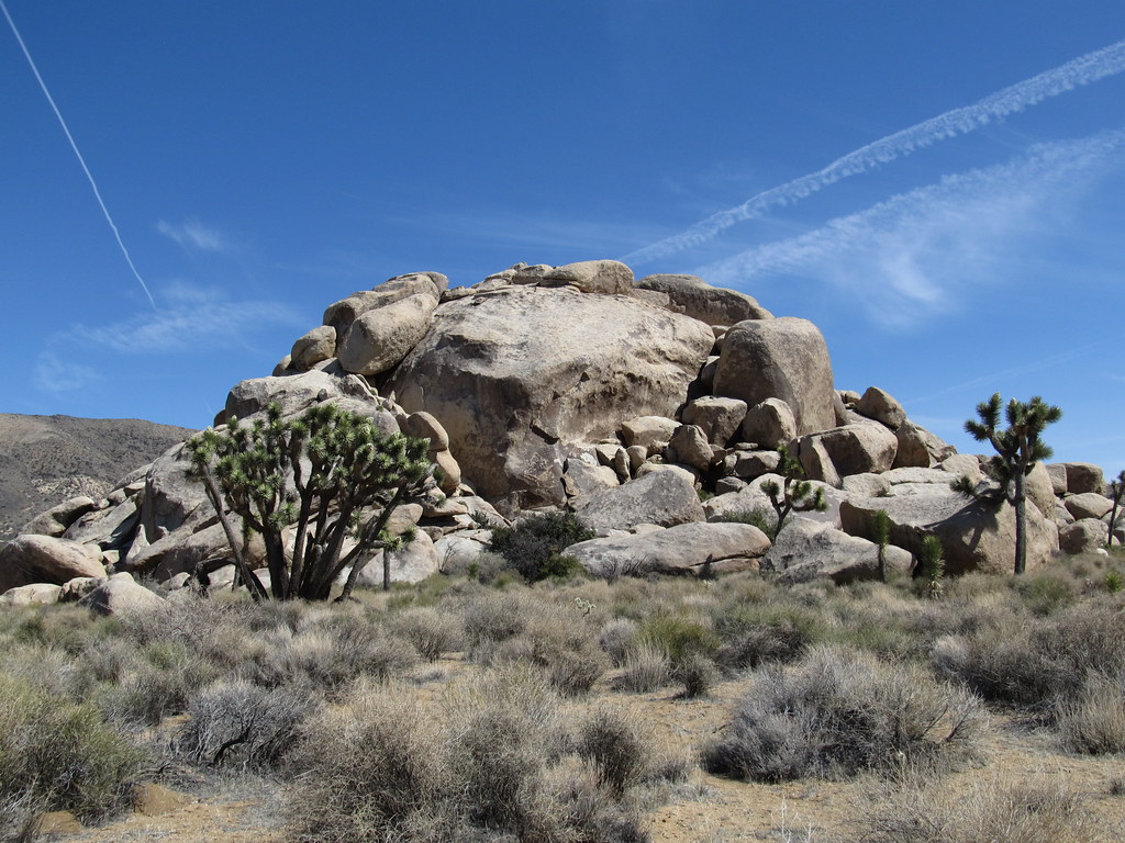 Cap Rock Hike, Joshua Tree National Park, California Flickr