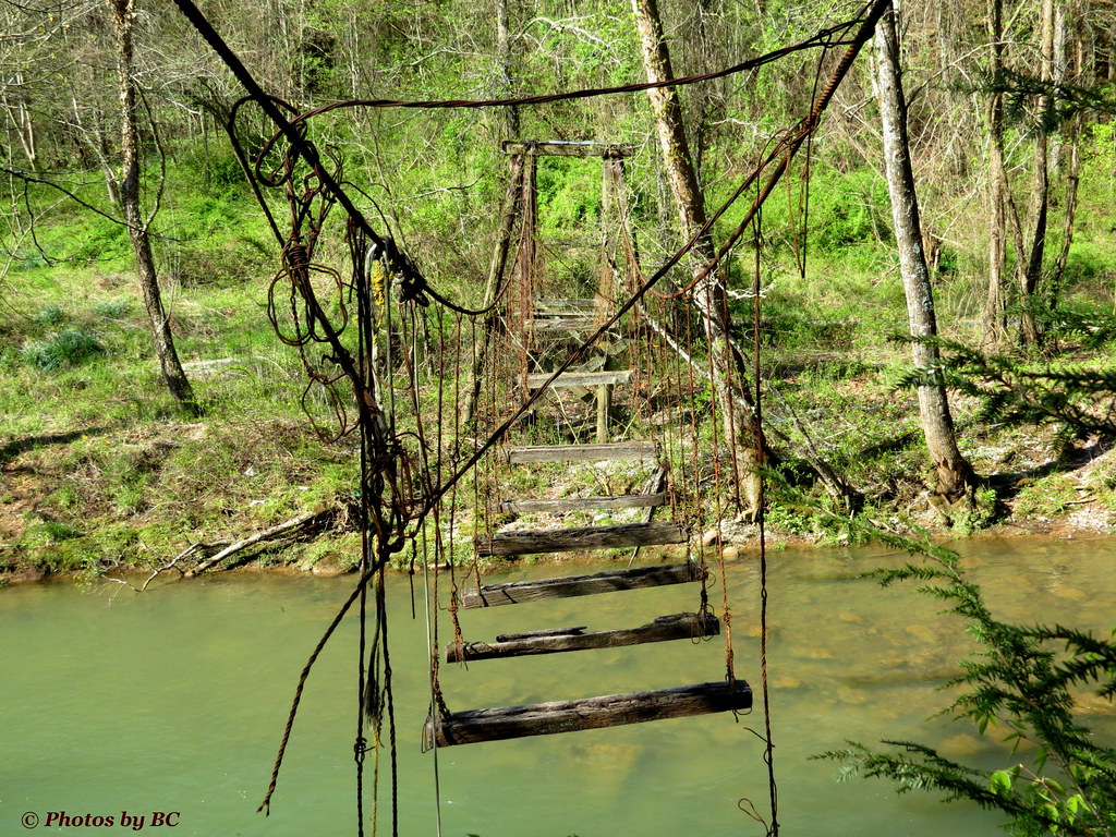 Elevation of Lick Branch Road, Lick Branch Rd, Flat Lick, KY, USA