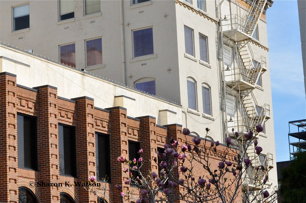 Owyhee Plaza Hotel about to be remodeled into apartments. … Flickr