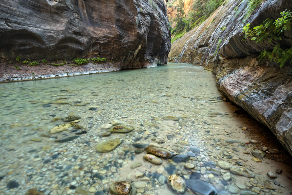 The Narrows, North Fork Virgin River, Zion National Park, Washington