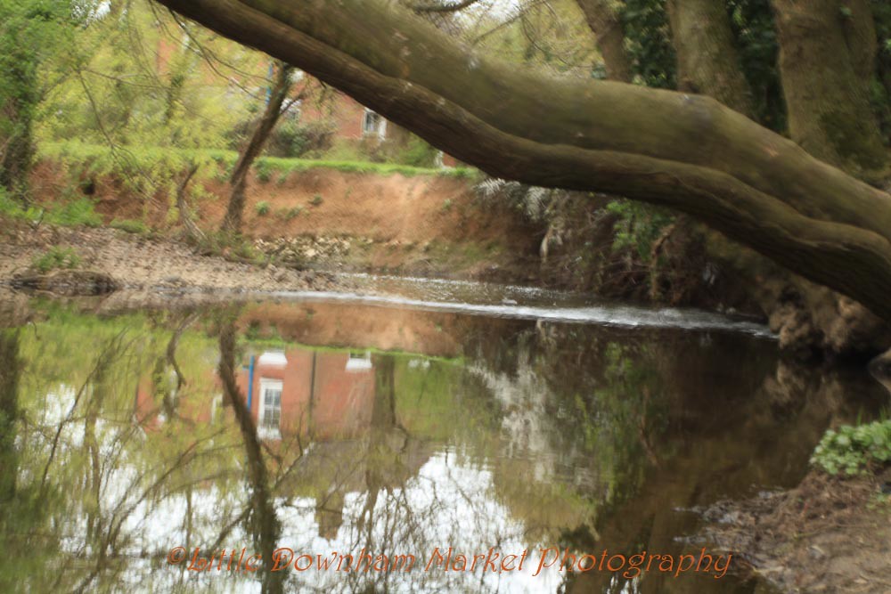 Wallington_River_Fareham Taken on Sunday Little Downham Market Flickr
