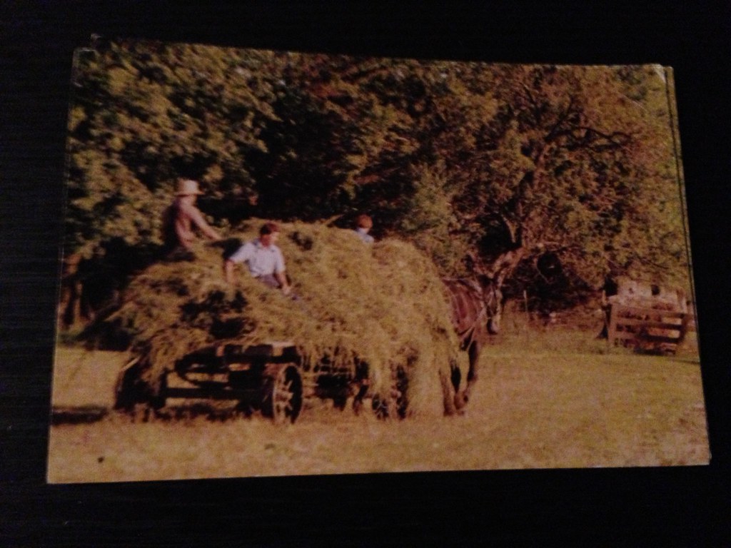 Jamesport, MO (Amish town) and Kansas City julie0319 Flickr