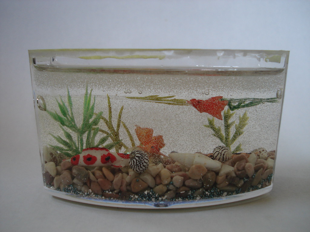 plastic aquarium plastic aquarium tinystuffs Flickr