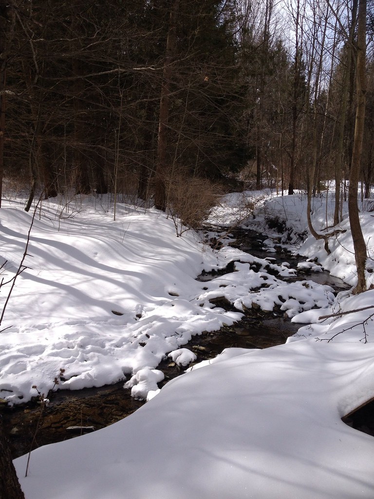 Wayland, NY March 2013 dlspafford Flickr