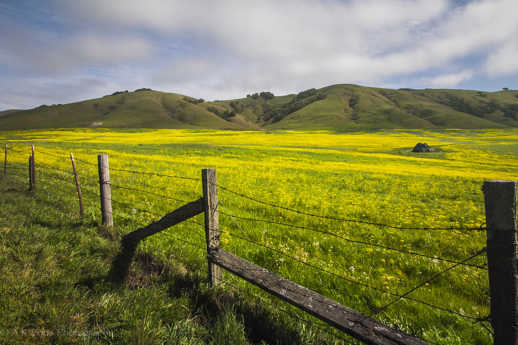 Hicks Valley Another shot from our trip to Petaluma last m… Flickr