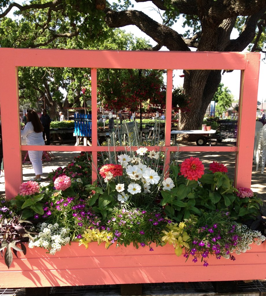 Window Box Planter Alden Lane Nursery in Livermore, CA Janeen