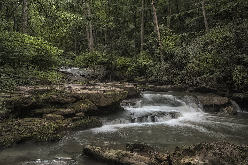 A walk through Arbuckle Creek Arbuckle Creek and its canyo… Flickr