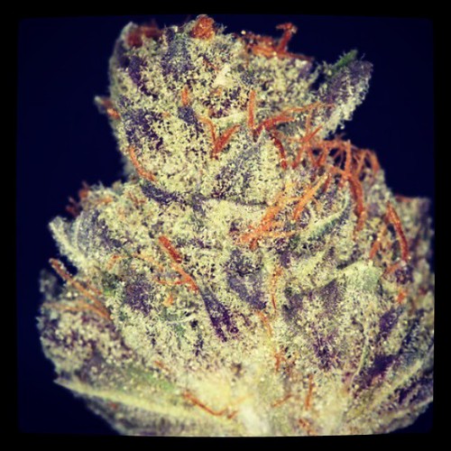 Some Super Flame W420 KushAndKicks KushArmy TheHighRis… Flickr